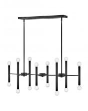 Lark 83196BK - Large Sixteen Light Linear Chandelier