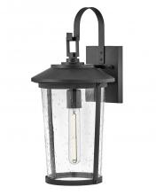 Lark by Hinkley 82024BK - Medium Wall Mount Lantern