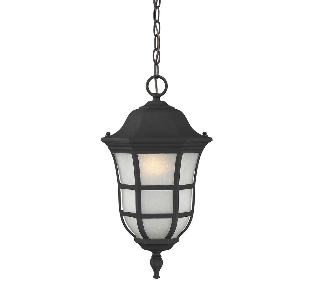 Ashburn 10" Hanging Lantern