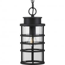 Progress P550061-031 - Port Royal Collection One-Light Hanging Lantern with DURASHIELD