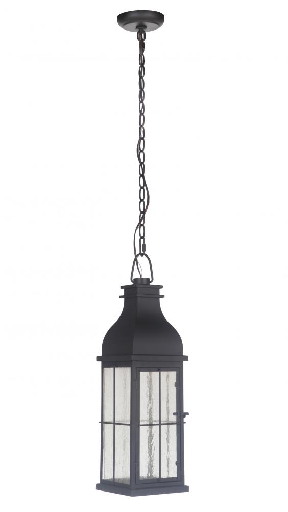 Vincent 1 Light Medium LED Outdoor Pendant in Midnight