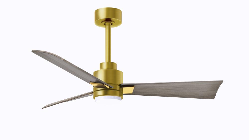 Alessandra 3-blade transitional ceiling fan in brushed brass finish with gray ash blades. Optimize