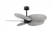 Matthews Fan Company AKTP-BK-BW - Alessandra Tropical 5-blade ceiling fan in Matte Black and Barn Wood Tone blades.