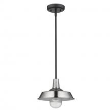 Acclaim Lighting 1736SN - Burry 1-Light Satin Nickel Convertible Pendant