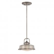 Quoizel QPP1184AN - One Light Antique Nickel Down Mini Pendant