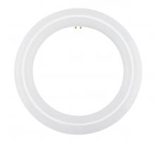 Satco Products Inc. S16501 - LED Circline; 11 Watt; T9; 4000K; G10Q Base; 120-277 Volt; Type B; Ballast Bypass