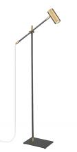 Z-Lite 814FL-MB-OBR - 1 Light Floor Lamp