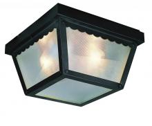 Trans Globe 4902 RT - Samantha 2-Light, Scalloped Edge, Traditional Outdoor Flush Mount Ceiling Light