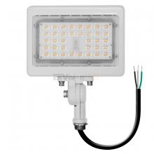 Thomson Premier Lighting & Appliance  Items LED-ARL-30W-TRI-WH-KN - ENVISION LED LIGHTING - 30W LED Flood Light-WT