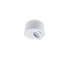 Modern Forms US Online FM-W44205-40-WT - I Spy Outdoor Flush Mount Light