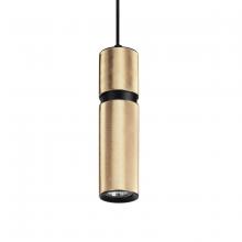 Avenue Lighting HF1075-BBK - Cicada Pendant