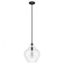 Hunter 19646 - Hunter Dunshire Noble Bronze with Clear Glass 1 Light Pendant Ceiling Light Fixture