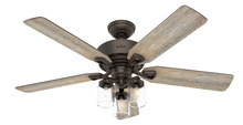 Hunter 50235 - Hunter 52 inch Devon Park Onyx Bengal Ceiling Fan with LED Light Kit and Handheld Remote