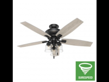 Hunter 50403 - Hunter 52 inch Charlotte Matte Black Ceiling Fan with LED Light Kit and Pull Chain