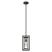 Hunter 19756 - Hunter Doherty Onyx Bengal 1 Light Pendant Ceiling Light Fixture