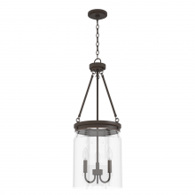 Hunter 19153 - Hunter Devon Park Onyx Bengal with Clear Glass 3 Light Pendant Ceiling Light Fixture