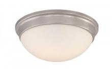 ENERGY STAR CEILING LIGHT