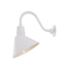 Millennium RAS12-WH - Angle Shade