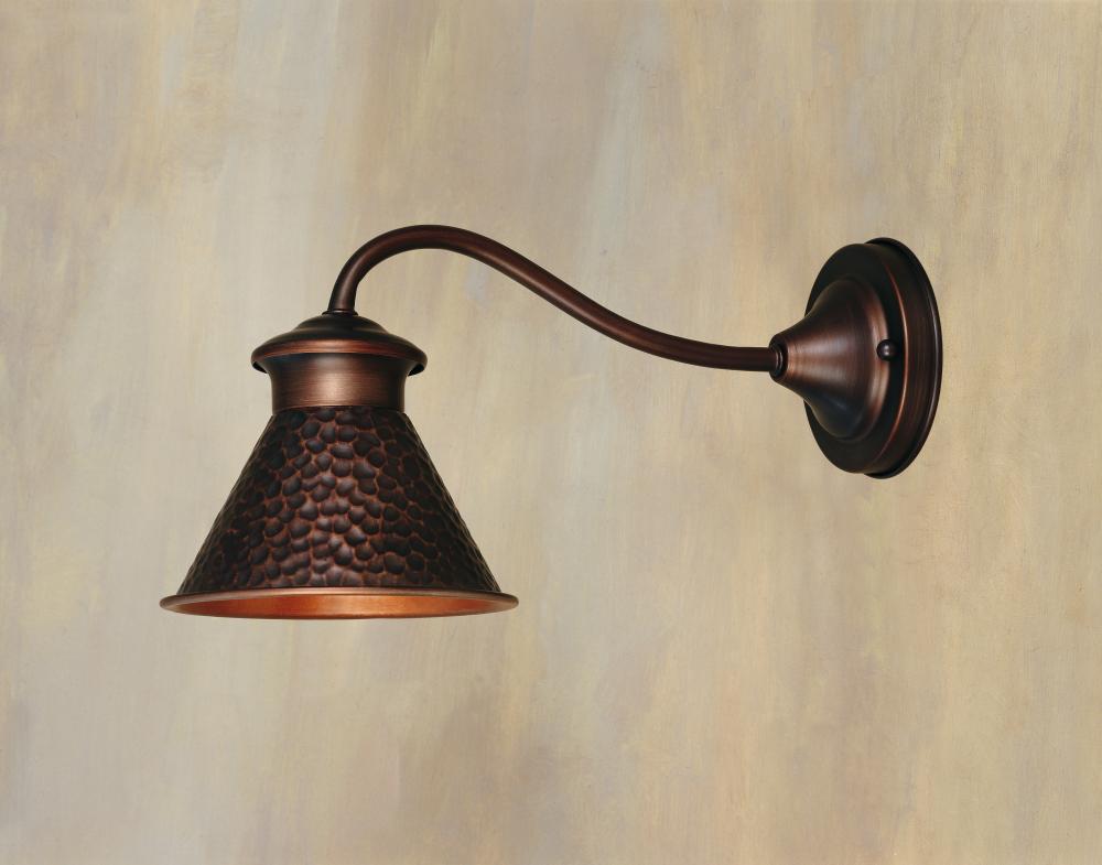 Dark Sky Essen 1-Light Outdoor Antique Copper Wall Lamp