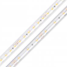 Diode Led DI-24V-BLBSC1-50-W100 - STRIP/TAPE LIGHT