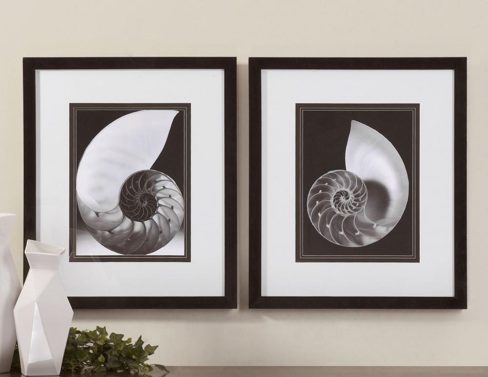 Uttermost Study Of Shells Framed Art Set/2