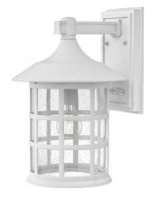 Hinkley 1865TW - Medium Wall Mount Lantern